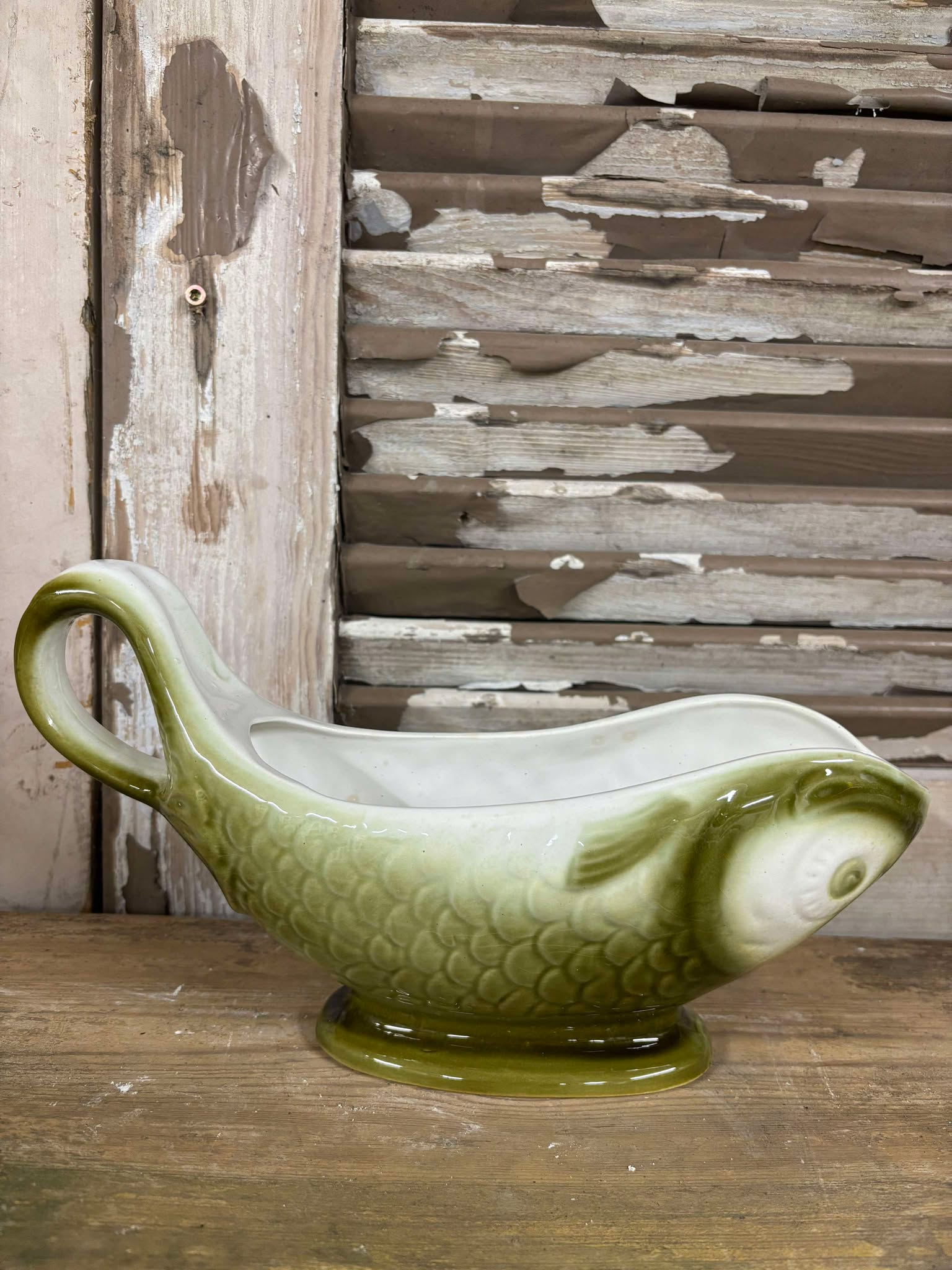 Fransk fiske sovsekande grøn