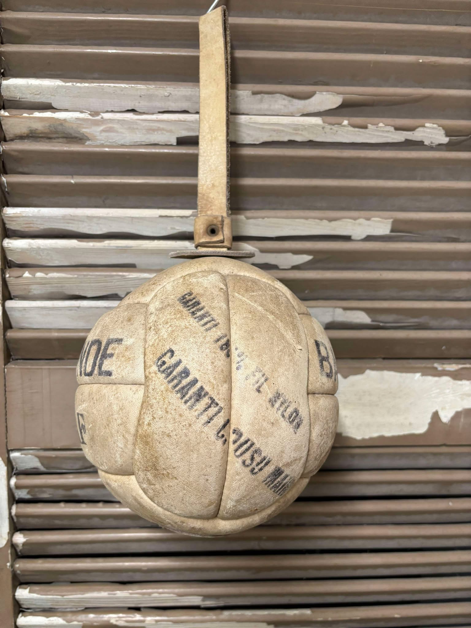 Fransk slyngbold BOLD1 - Billede 2