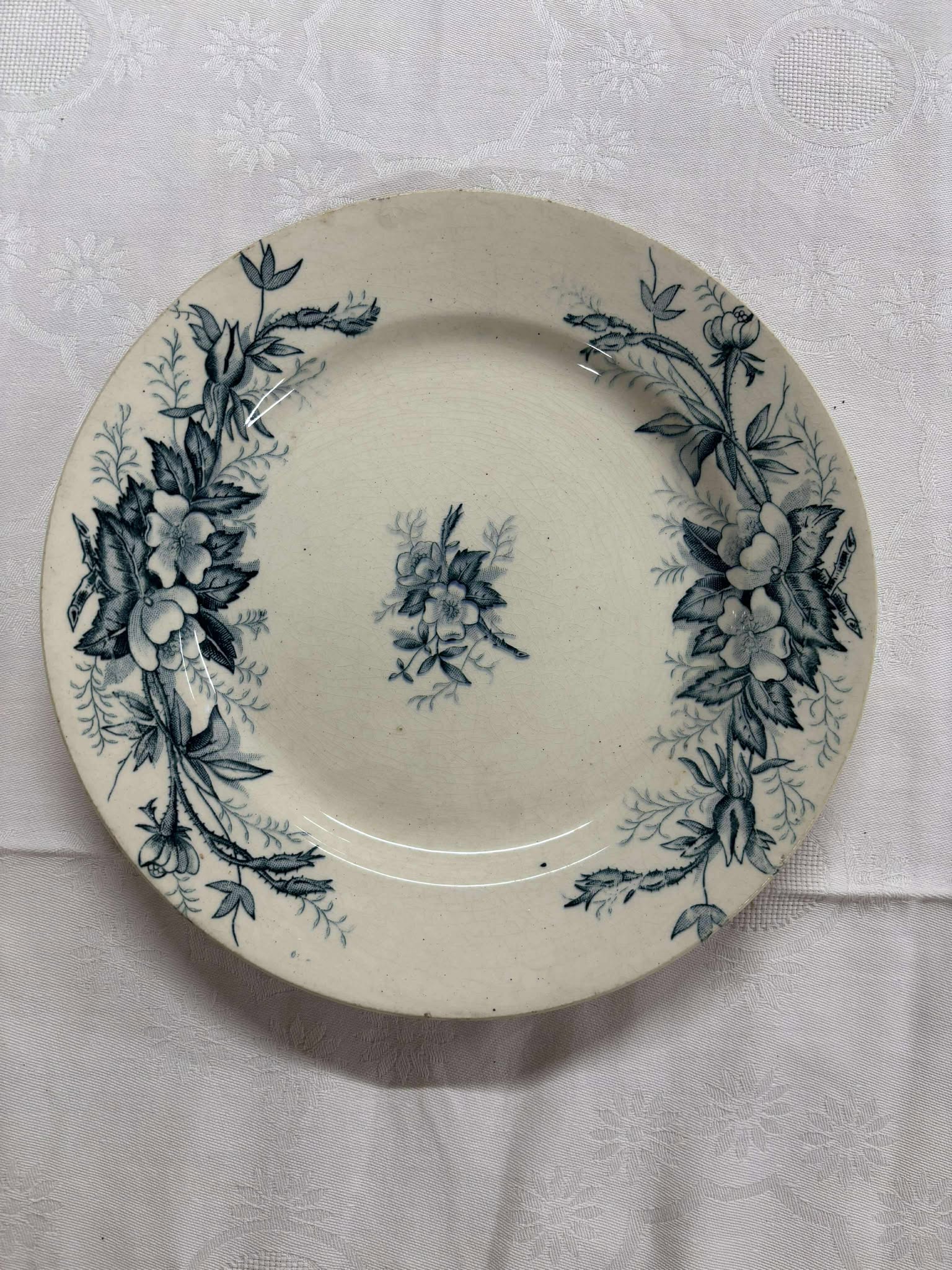 Tallerken Terre de Fer  FRFAPO5