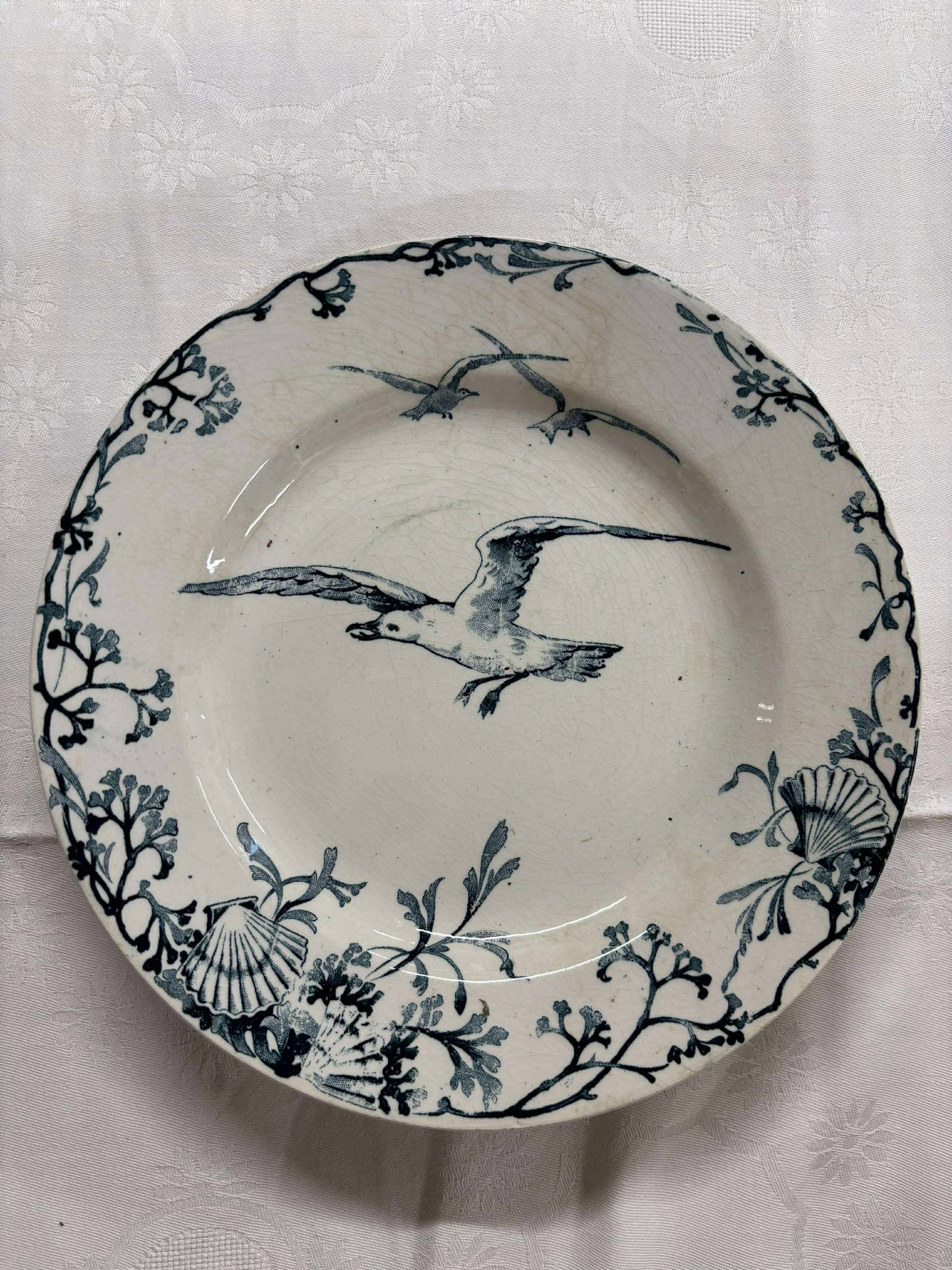 Tallerken Offert par Le Salsola FRFAPO2